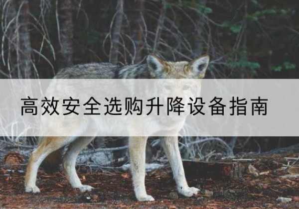 紫云升降货梯厂家推荐-*安全选购升降设备指南