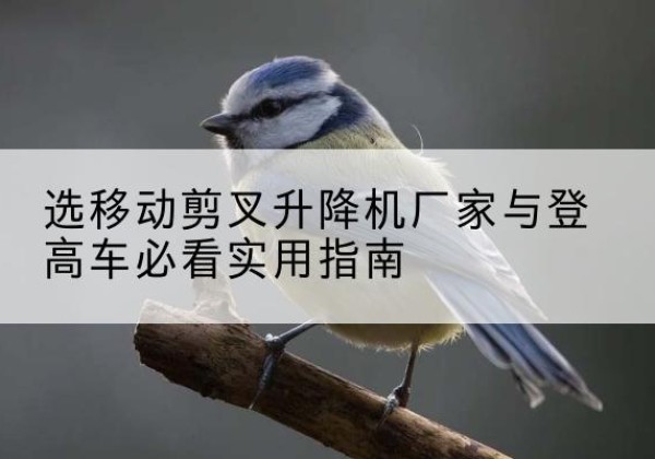 紫云电动升降机厂家-选移动剪叉升降机厂家与登高车必看实用指南