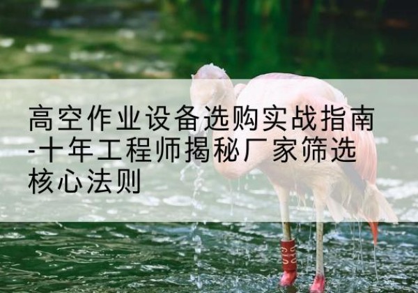 紫云剪叉式升降机厂家-高空作业设备选购实战指南-十年工程师揭秘厂家筛选核心法则